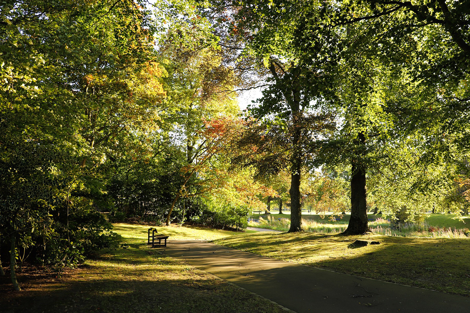 Больше других свои городские парки ценят жители Казани, Москвы и Краснодара