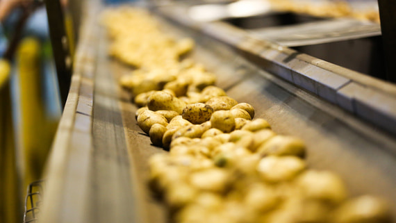 ВТБ продал контрольный пакет в производителе картофеля для Lay’s и Mcdonald’s