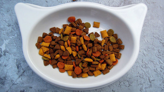 Зоомагазины столкнулись с дефицитом специальных и диетических кормов