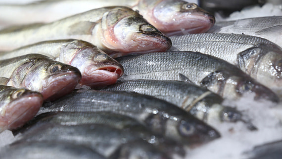 Крупнейшая в России рыбодобывающая компания выкупила бизнес у своего конкурента