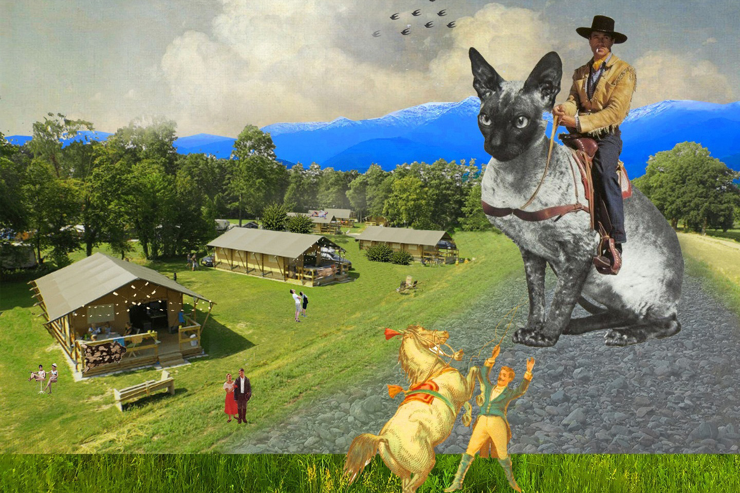 Экоотель «Шато Шапито» — новый формат  дауншифтинга