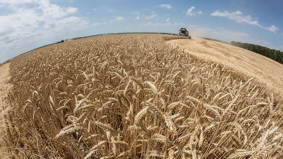 Сумма сделок по покупке компаний в сельском хозяйстве выросла в 3 раза