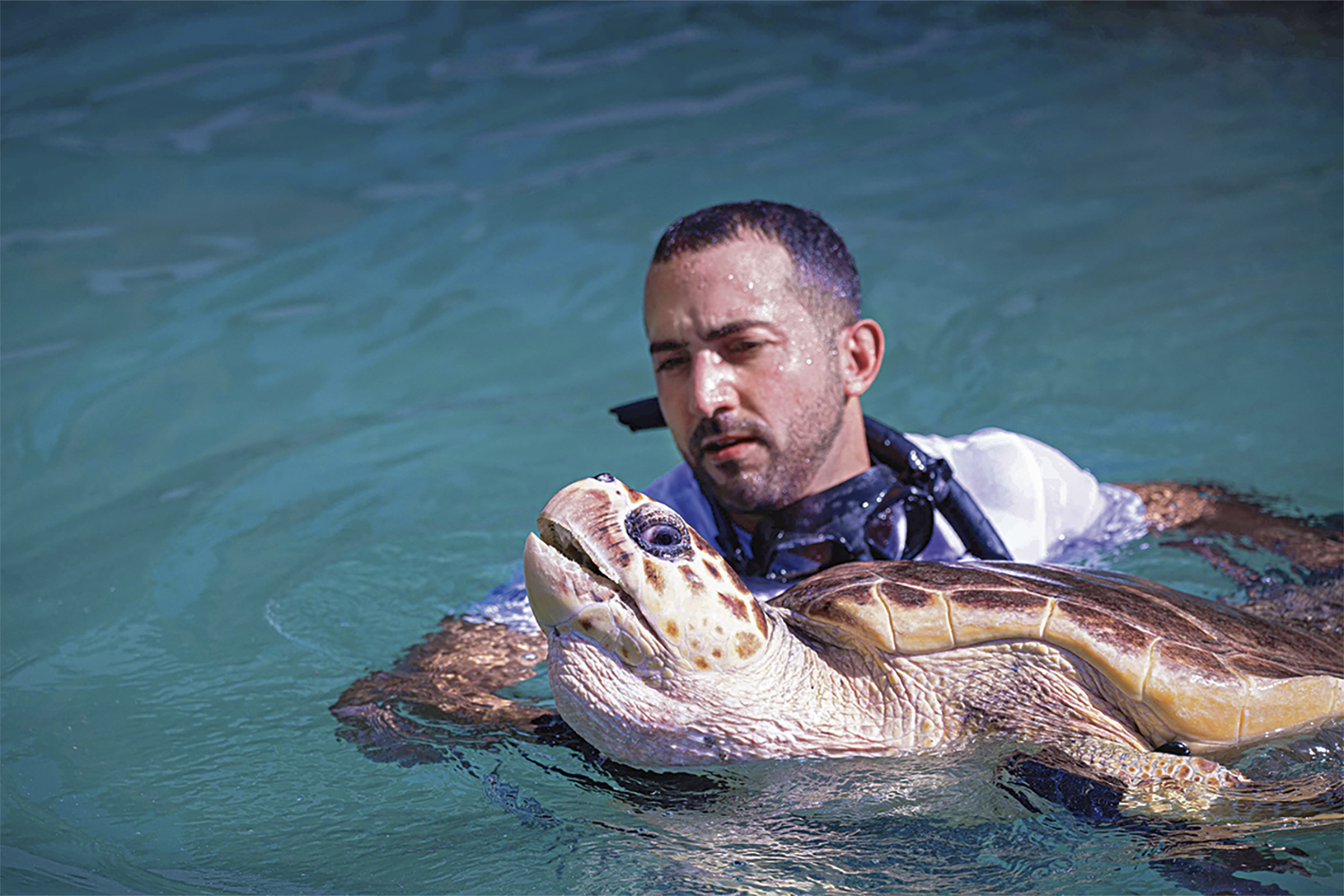 Шейх Фахим бин&nbsp;Султан бин Халида аль-Каси­ми&nbsp;не только сам спасает и реабилитирует обитателей моря, но и активно участвует в других социальных проектах эмирата Шарджа