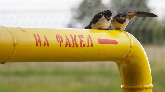 "Газпром" в январе 2022 года переплатит за украинский транзит вдвое – около $50 млн