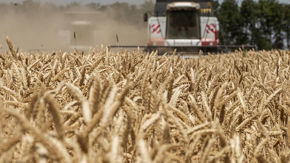 Производители зерна просят вернуть деньги от экспортных пошлин