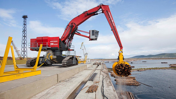 Российский леспром хочет покинуть крупнейший иностранный инвестор