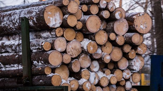 Правительство разрешило леспрому сдвинуть инвестпроекты