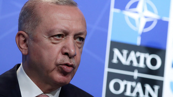 Эрдоган отказался положительно оценить вступление Финляндии и Швеции в НАТО