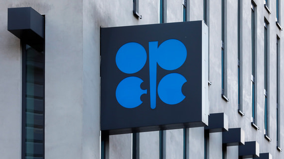 WSJ: некоторые члены ОПЕК обсуждают приостановку участия России в нефтяной сделке
