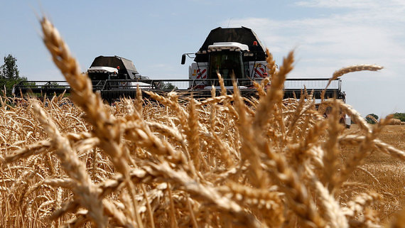 Аналитики заявили о падении цен на пшеницу после слов Путина