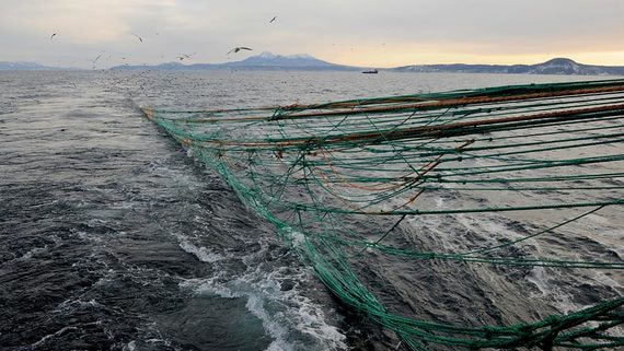 За запретом японским рыбакам промысел у Южных Курил могут последовать иные контрсанкции