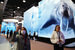 «Газпром нефть» презентовала проект «Погружаясь в Арктику». На цифровой инсталляции в форме гигантского «ледяного» куба показывают картины из мира Крайнего Севера и его морских обитателей.