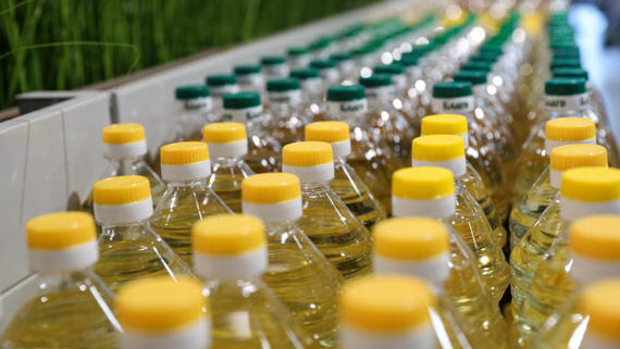 Кабмин увеличил квоты на экспорт подсолнечного масла и жмыха