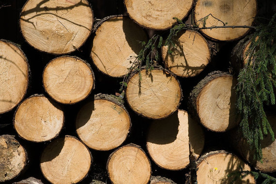 В европейских странах отмечается повышенный спрос на дрова и дровяные печи