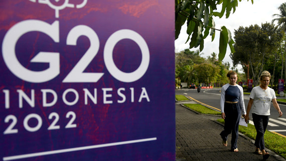 Индонезия заинтересована в организации встречи Путина и Зеленского на саммите G20