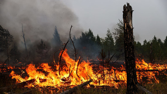 Пожары в Рязанской области угрожают перерасти в ЧС федерального значения