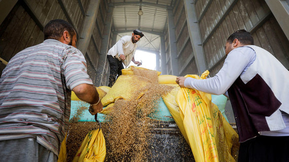 Импорт пшеницы частным сектором в Египте почти остановился из-за нехватки долларов