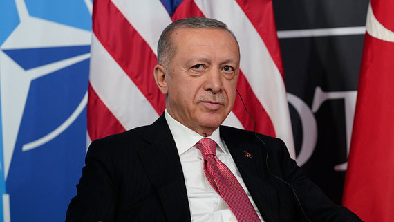 Эрдоган одобрил идею создания газового хаба в Турции