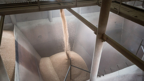 Россия запросила у ООН данные по передвижению зерна в рамках продуктовой сделки