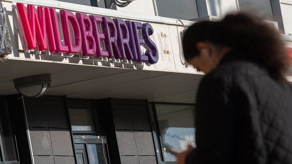 Wildberries хочет занять нишу ушедших из России книжных сервисов