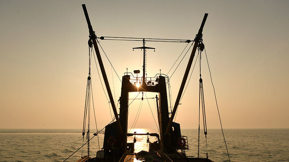 Рыбопромышленники просят льготы на строительство судов по квотам под киль