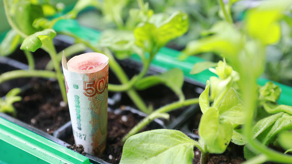 У аграриев возникли проблемы с получением новых льготных кредитов