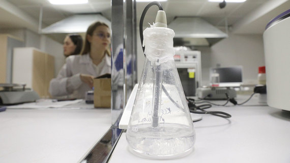 Недостаток университетских лабораторий тормозит производство новых лекарственных препаратов