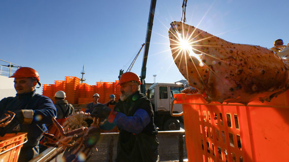 Краболовы недовольны правилами создания новых заводов в рамках "квот под киль"