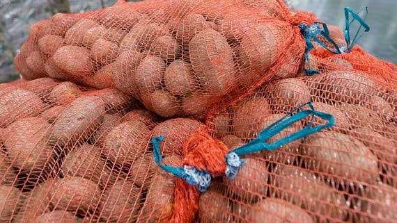 Производители картофеля предложили ограничить его импорт