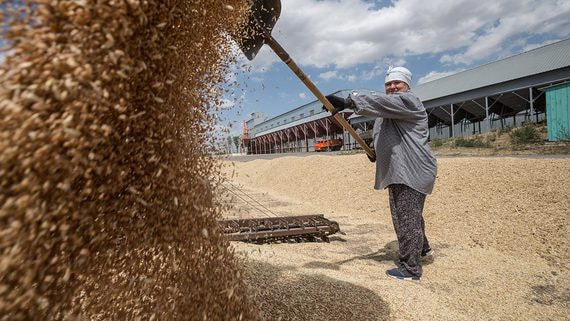 Производители подсолнечного масла и пшеницы могут временно приостановить экспорт