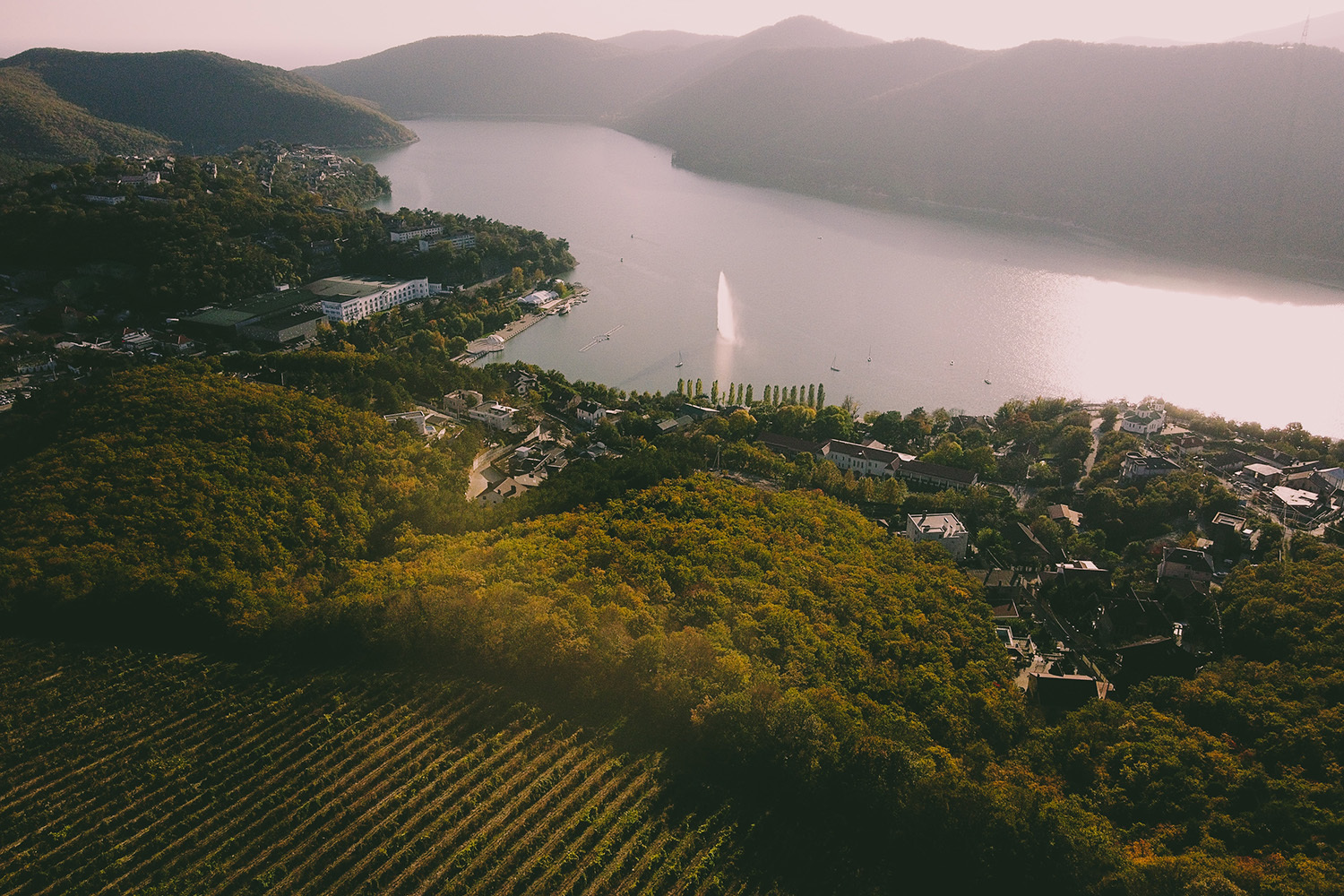 «Абрау-Дюрсо» (Краснодарский край) – в первой десятке рейтинга 50 лучших винных хозяйств России