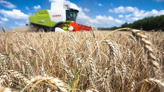 Минсельхоз может сократить меры поддержки аграриев в 24 регионах России