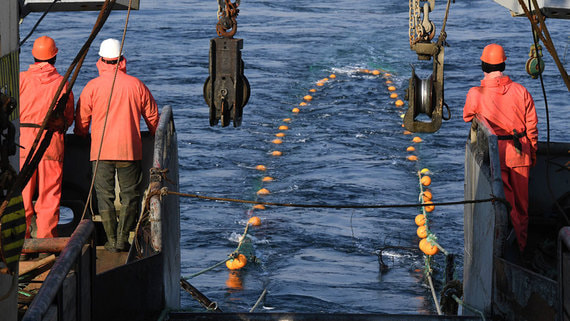 Рыбопромышленники предложили не строить небольшие заводы по программе инвестквот