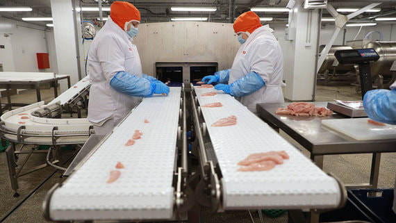 Росптицесоюз предупредил о возможных проблемах с переработкой птицы