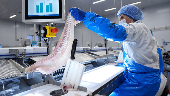 Минсельхоз попросили дополнительно обосновать льготы для переработчиков рыбы