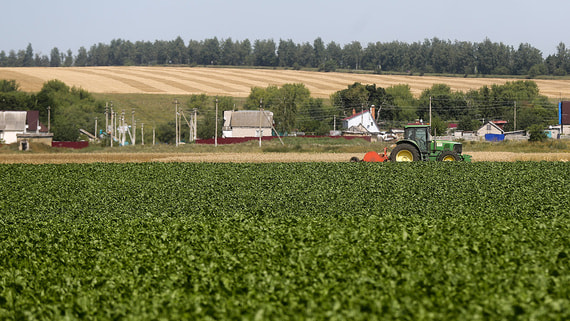 Соя станет единственной из основных сельхозкультур, производство которой будет расти