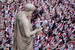 Утром 5 января на площади Святого Петра в Ватикане прошла поминальная месса по папе на покое Бенедикту XVI.