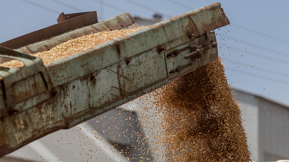 Песков: надежд на выполнение зерновой сделки не так много