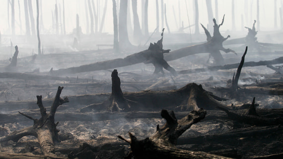 Площадь лесного пожара в Геленджике увеличилась до 5 га