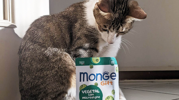 Производитель кормов Monge регистрирует в РФ знаки "Монжо", "Монжно" и "Можно"