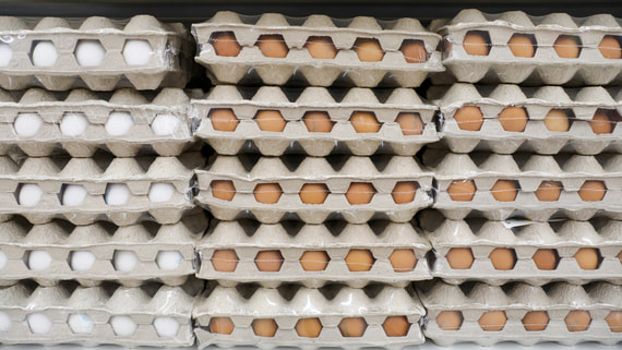 Кабмин на неделе представит данные о сроках стабилизации цен на яйца и курятину