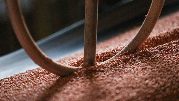 ЕС наращивает импорт азотных удобрений из России