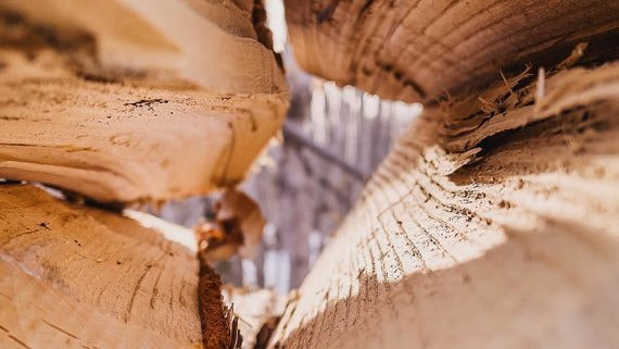 Объем инвестиций в лесопереработку в России в 2022 году достиг пика