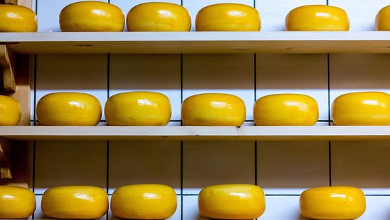 Производитель молока «Свитлогорье» добился регистрации бренда, под которым собирается ввозить сыр из Италии