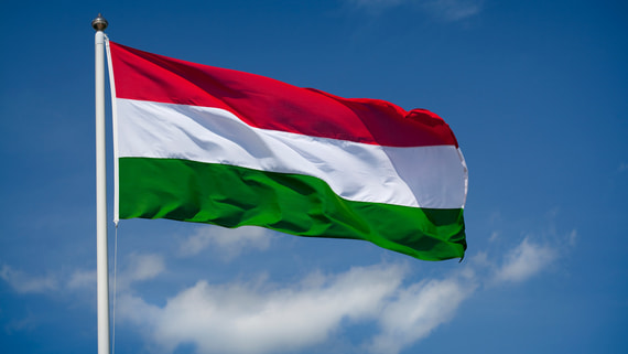 Венгрия потребовала прекратить зверства против этнических венгров в Закарпатье
