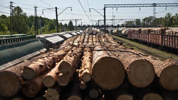 Всего за 2022 г. на сети РЖД было погружено 31 млн т лесных грузов