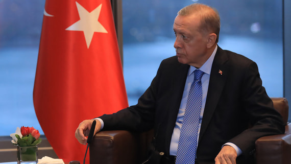 Эрдоган заявил, что ожидает визит Путина после выборов в Турции 31 марта