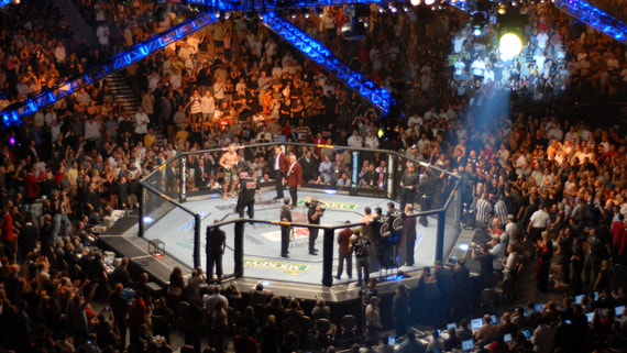 UFC заключил эксклюзивный телеконтракт с вещателем на Ближнем Востоке