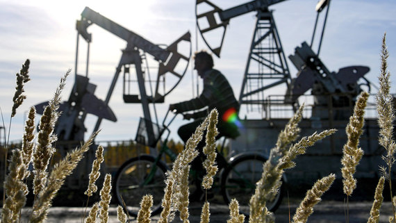 Роснедра оценили потребности нефтегазового сектора страны в новых запасах
