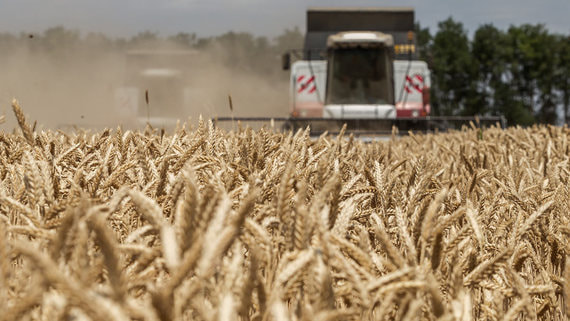 Кабмин утвердил дополнительную тарифную квоту на экспорт зерновых в 2024 году